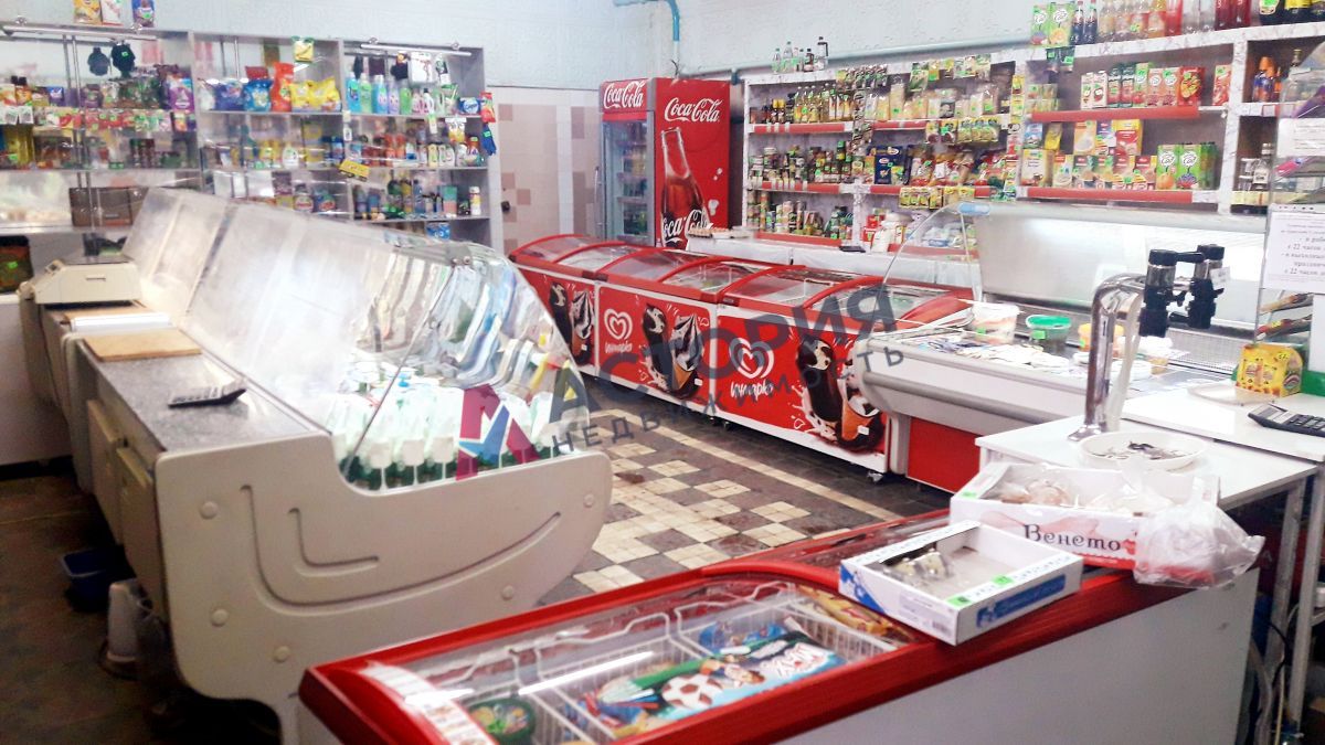 Парковая ул 4а, 200.00 кв.м.