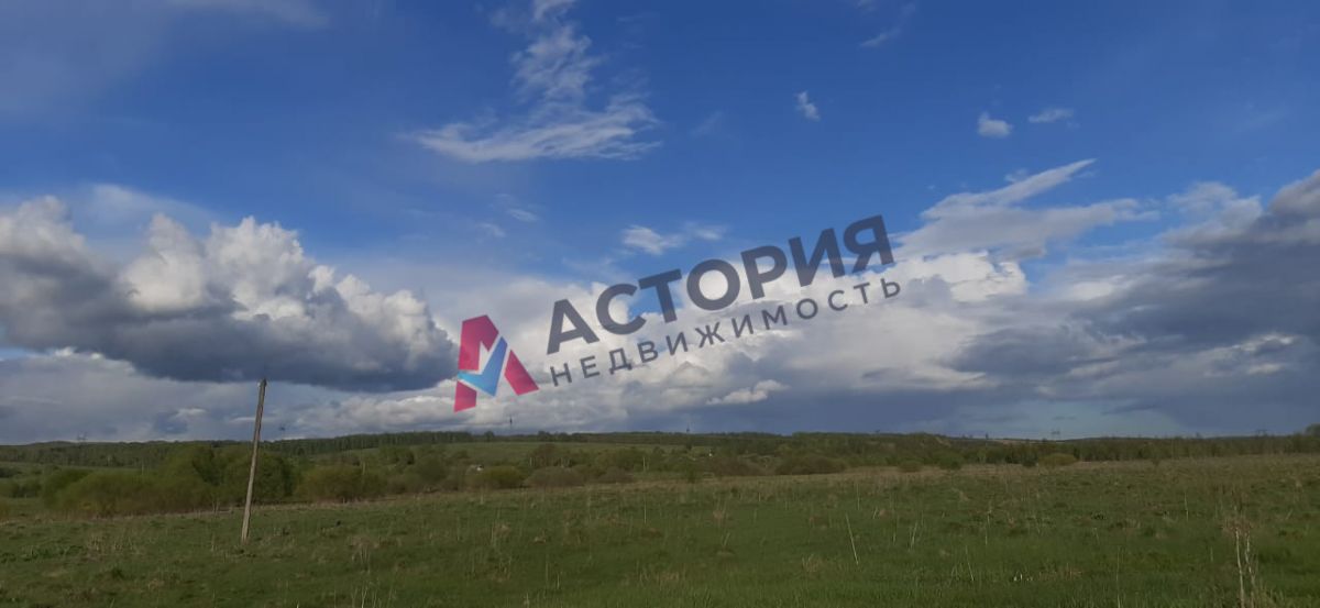 с.Страхово, Земли населенных пунктов, 18.36 сот