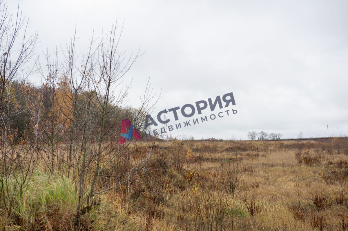 Горбачево п ., 87100.00 кв.м.