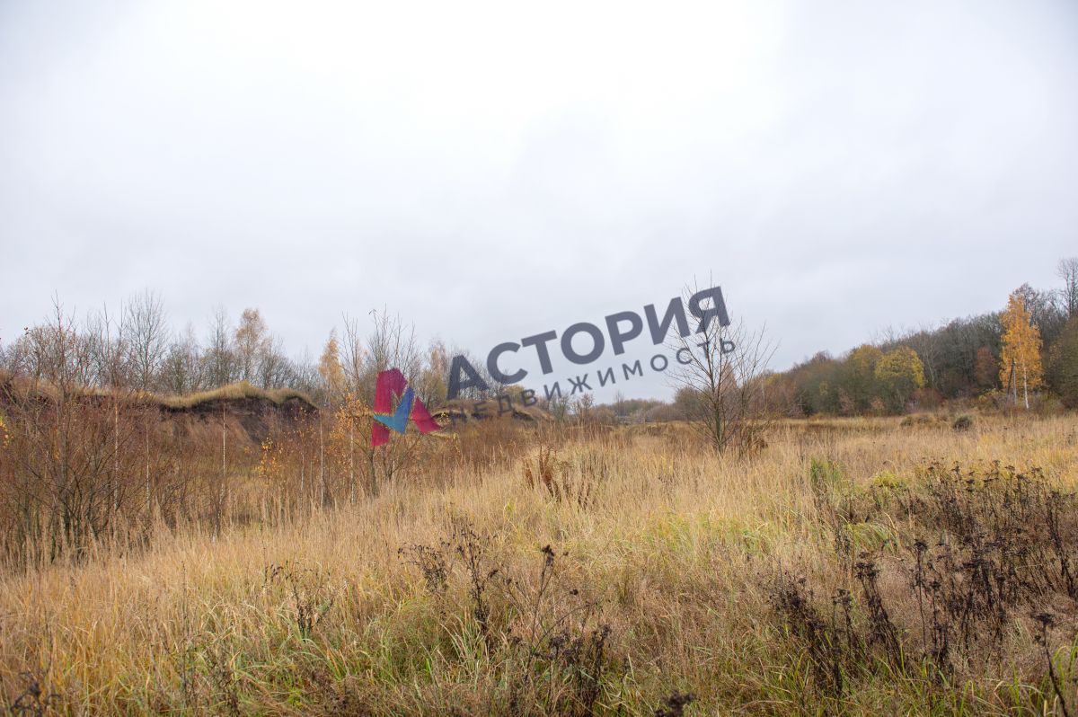 Горбачево п ., 87100.00 кв.м.