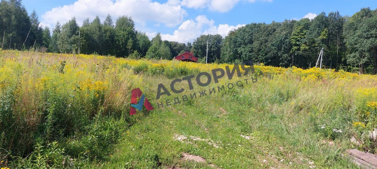 Высокое, Земли населенных пунктов, 55 сот