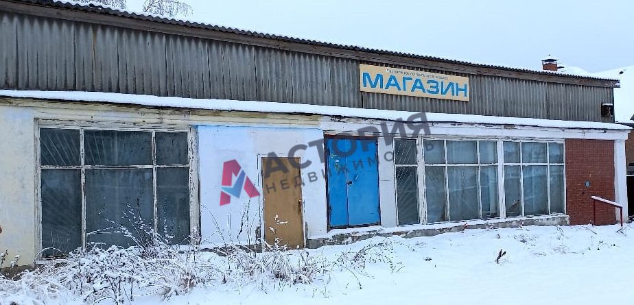 Школьная ул 9, 290.00 кв.м.