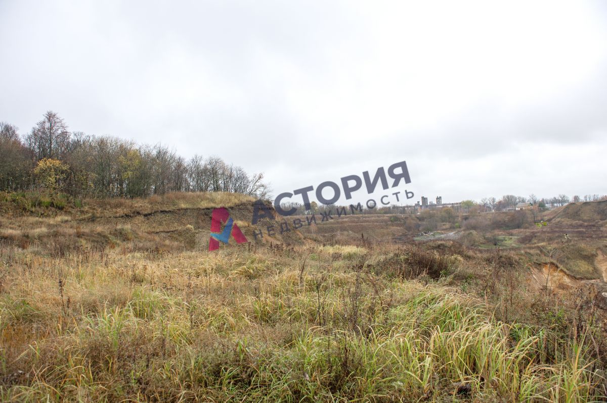 Горбачево п ., 87100.00 кв.м.