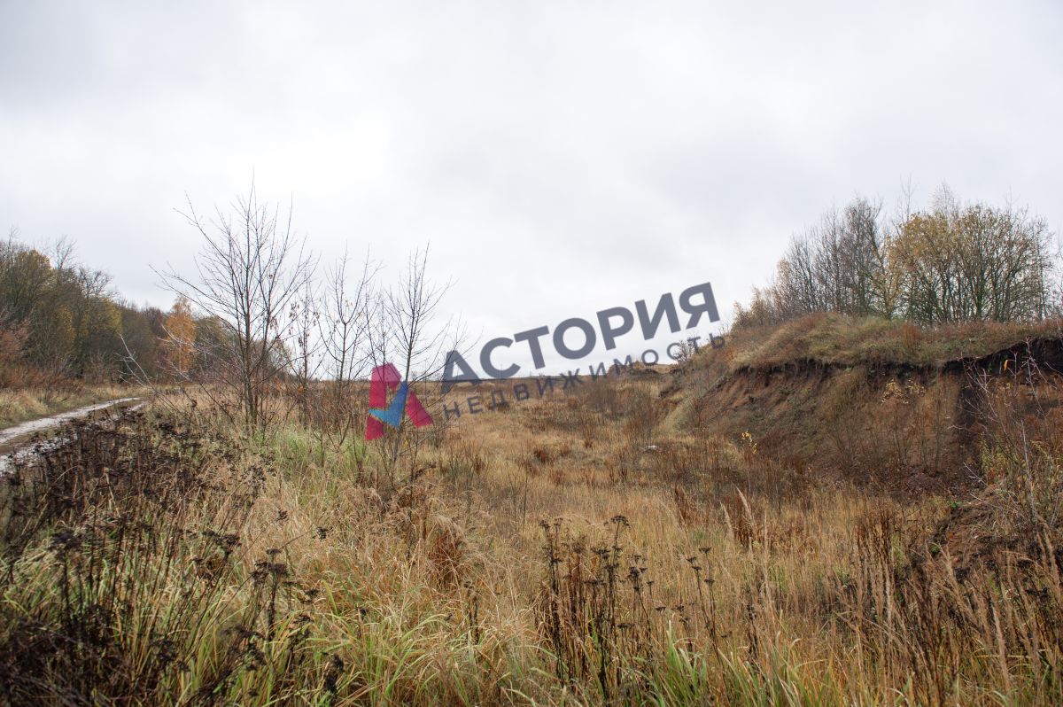 Горбачево п ., 87100.00 кв.м.