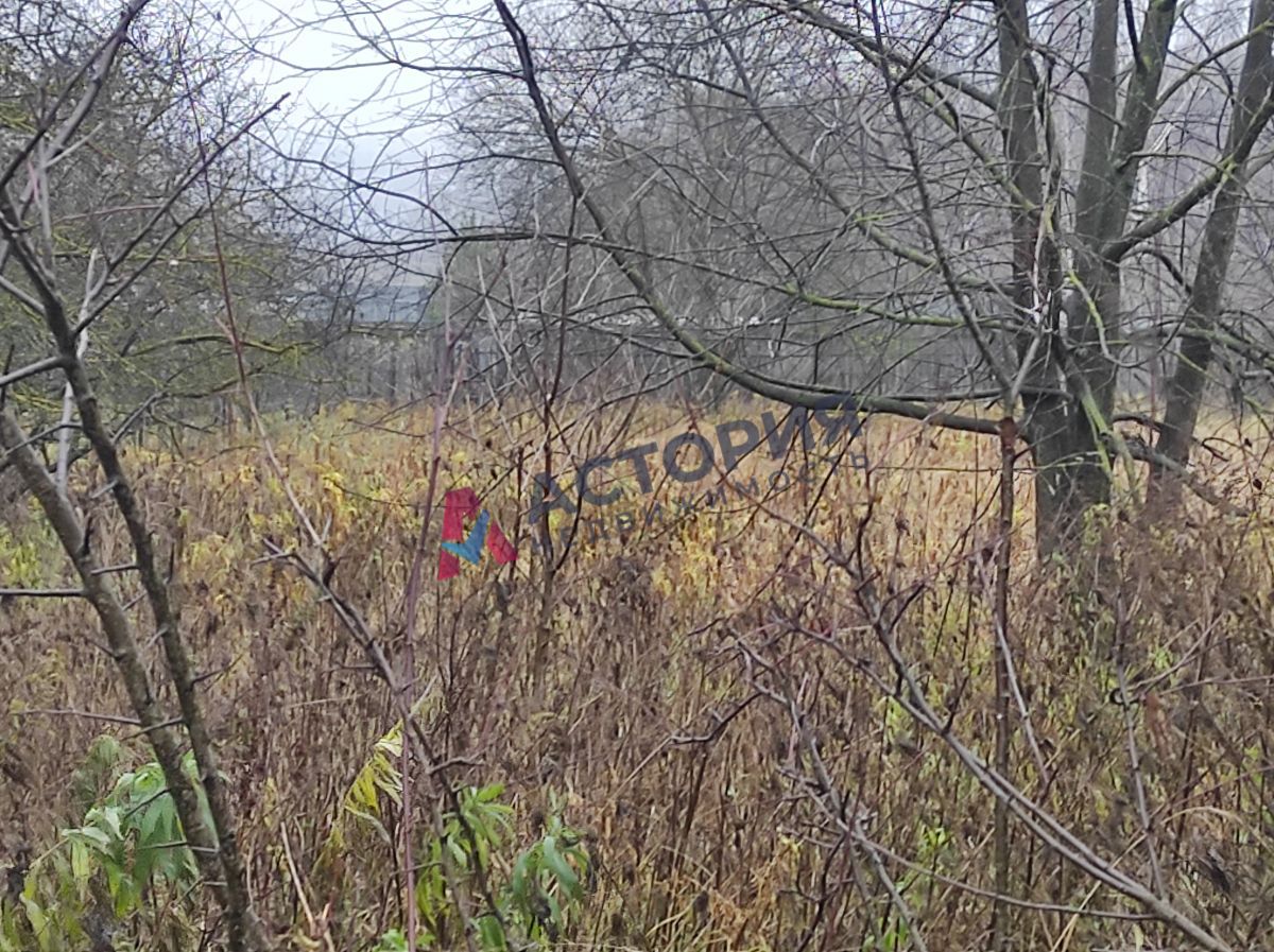 Криволучье, 54 кв.м., 25 сот