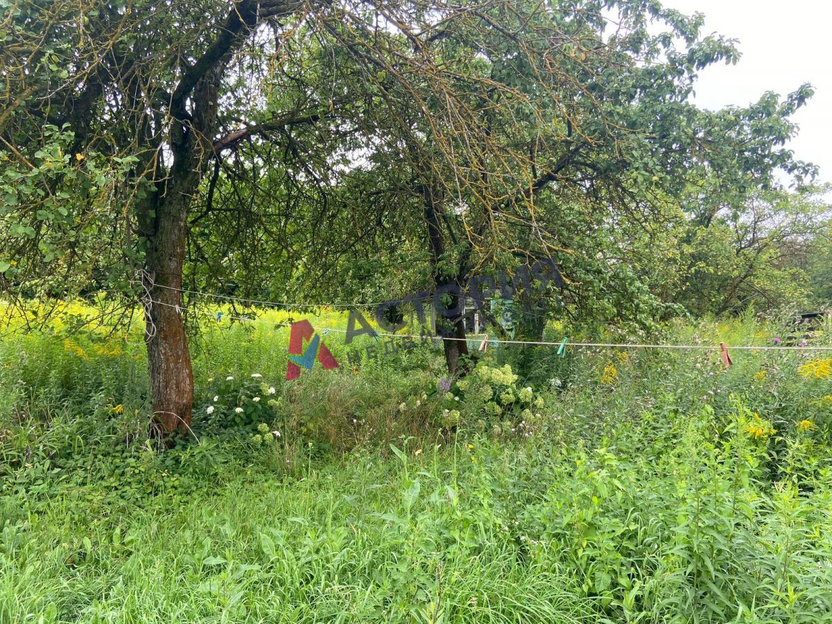 с. Осинова гора, 54 кв.м., 28 сот