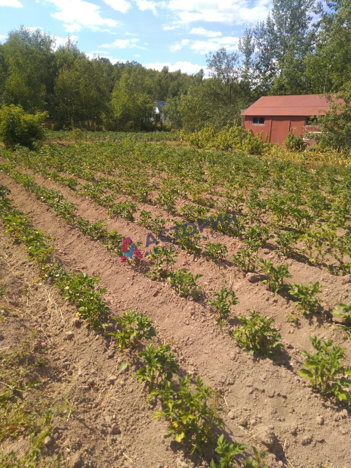 Обидимо, 20 кв.м., 6 сот