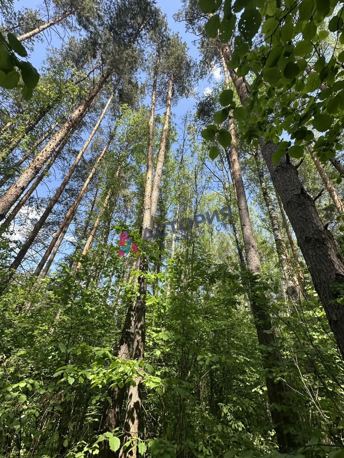 с. Бунырево, Земли населенных пунктов, 23.59 сот