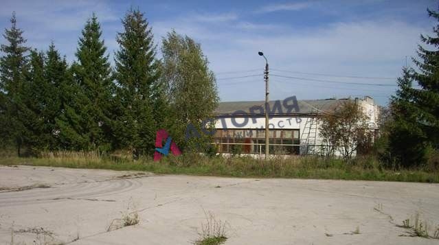 Молодежная ул 17, 1050.00 кв.м.