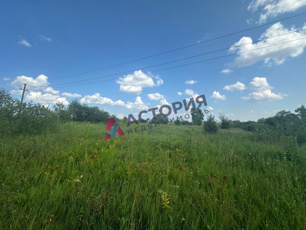 Шатск п  , 6271.00 кв.м.