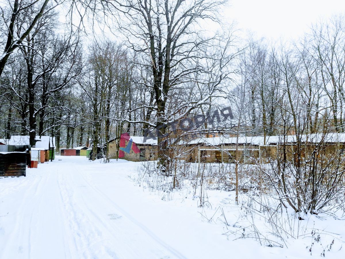 Петелино, Земли населенных пунктов, 3.70 сот