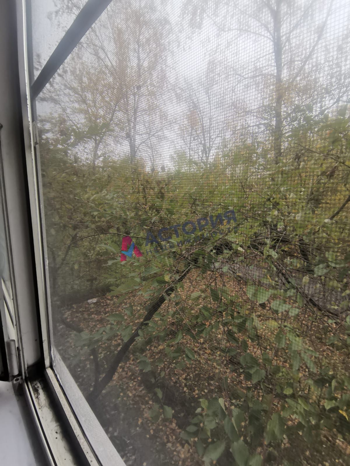 Грибоедова ул 54, 1к, 1/5