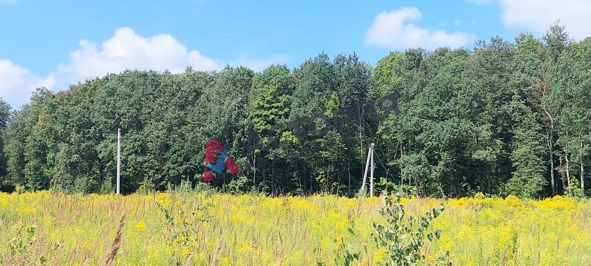 Высокое, Земли населенных пунктов, 55 сот