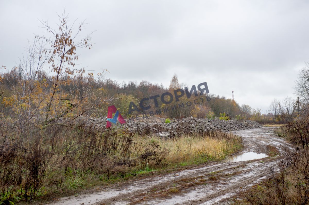 Горбачево п ., 87100.00 кв.м.