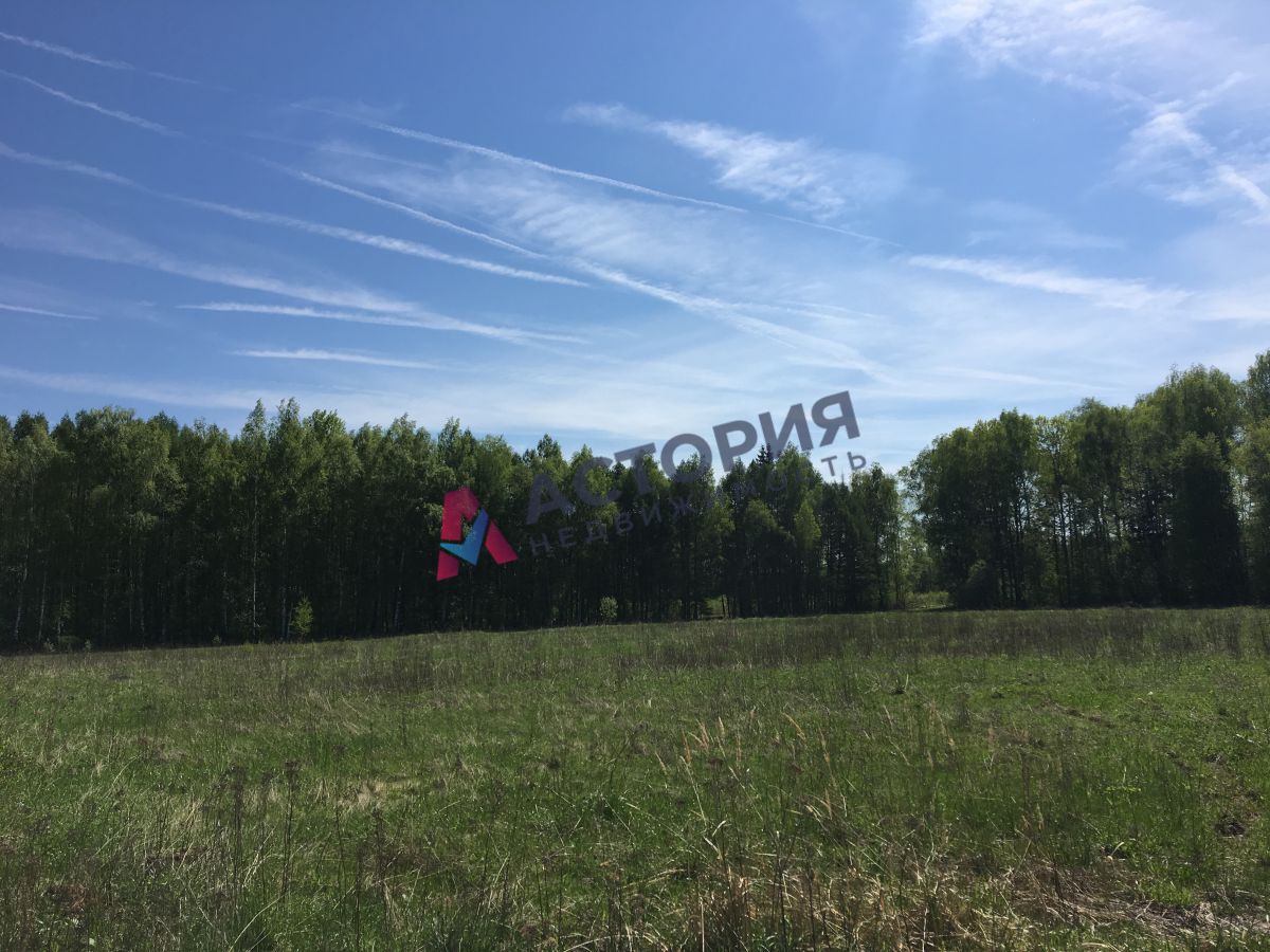 д. Анишино, Земли населенных пунктов, 20 сот