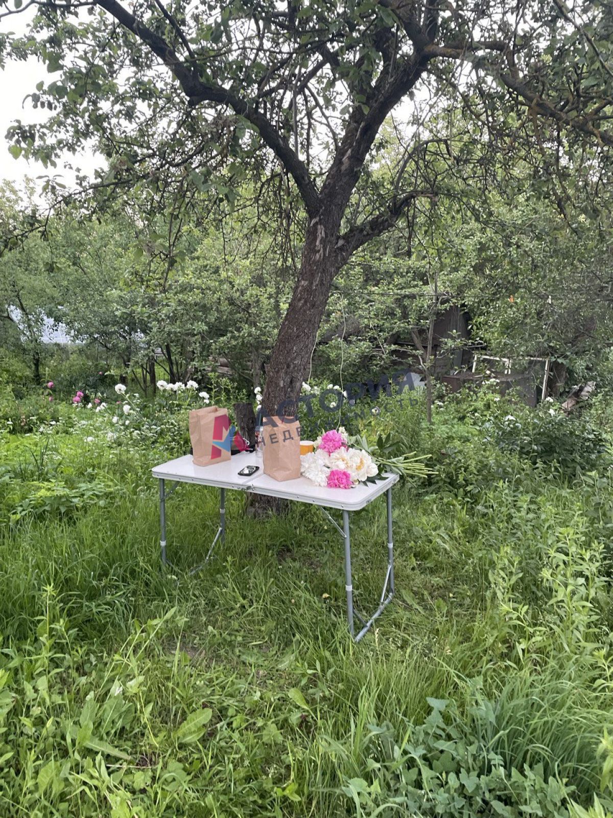 Старое Басово, 20 кв.м., 8 сот